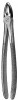 Extraction Forceps