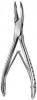 Bone Ronguer Forceps