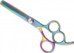 Professional Thinning Scissors