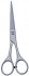 Barber scissor